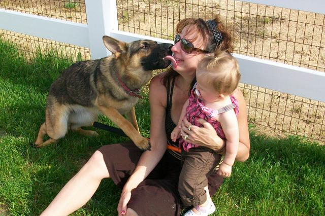 Allentown Family Dog | Puppy Socialization Classes & Leash Training