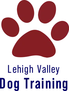 Lehigh Valley Dog Training