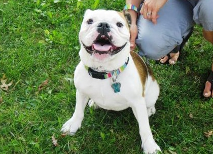 Person with their happy dog